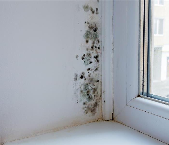 A white wall has multi-colored spots clustered neat the window