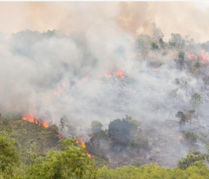 A California hillside with trees and greenery are on fire. Flames and smoke are active.
