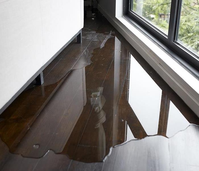 Wood floor shows puddled water indoors that is a large concern for a property owner