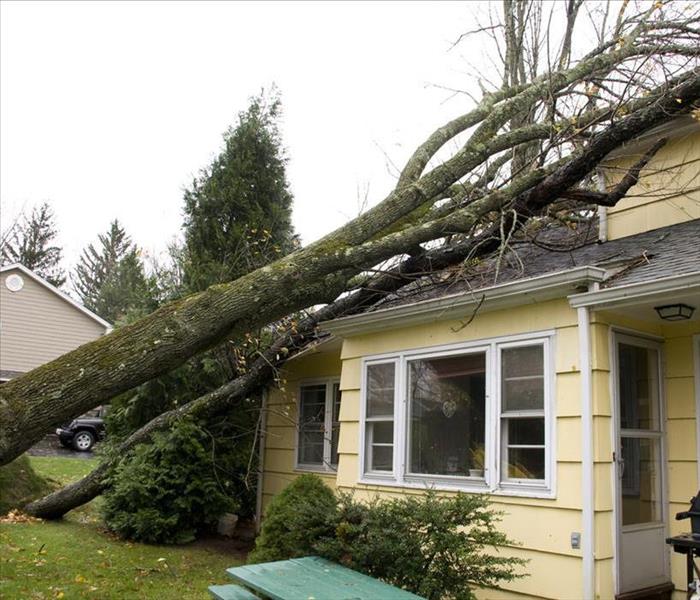 A yellow wood sided cozy looking home has a large fallen tree that has fallen on top of it due to a passing storm