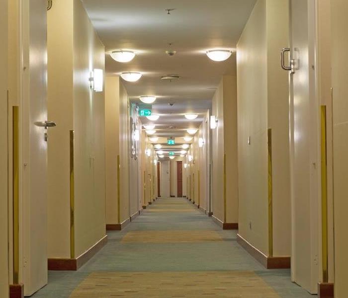 A long commercial hallway of a building where the ceiling is studded with lights and fire sprinkler heads. 