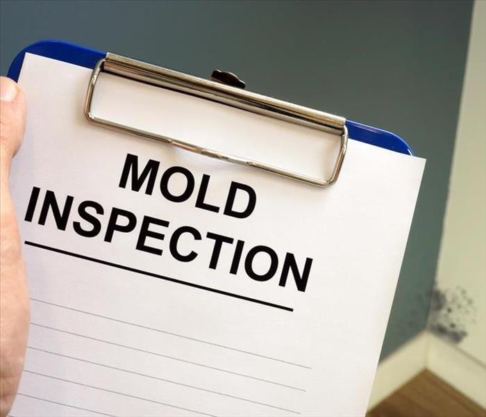 A wall with a section that looks like it may be mold in the background and a closeup of a clipboard for a mold inspection