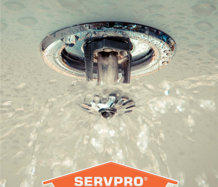 A commercial fire sprinkler has released water that is spraying out. SERVPRO logo is below it in the image. 