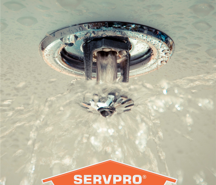 A commercial fire sprinkler has released water that is spraying out. SERVPRO logo is below it in the image.